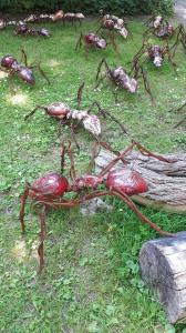 Leentje 01 Kunstfietsroute Castricum